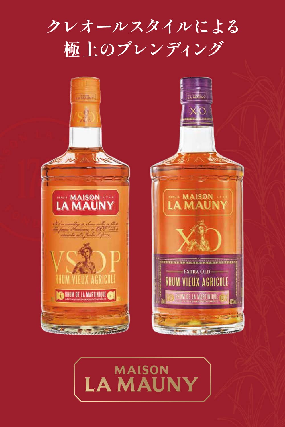 Amazon.co.jp: LA MAUNY(ラマ二―) ラマニー VSOP : 食品・飲料・お酒